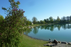Fischereiverein Fridolfing