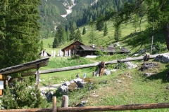 Fischereiverein Fridolfing