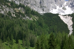 Fischereiverein Fridolfing