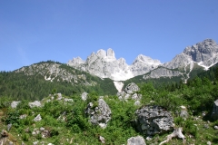 Fischereiverein Fridolfing