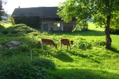 CIMG0781