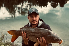 Waldemar Petersohn | Schuppenkarpfen 8,6kg