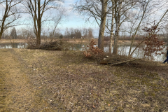 IMG-20250215-WA0011