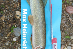 HeinrichM_01