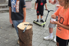 IMG-20250826-WA0282