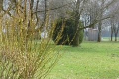 Fischerverein Fridolfing