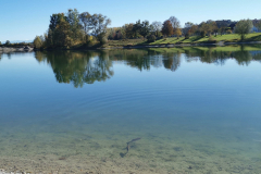 Herbst am Fridolfinger See