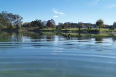 Herbst am Fridolfinger See