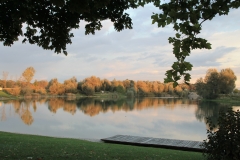 Herbst am Fridolfinger See