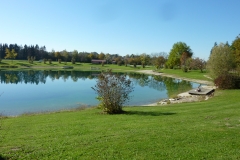 Herbst am Fridolfinger See