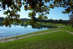 Herbst am Fridolfinger See