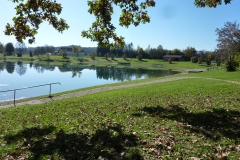 Herbst am Fridolfinger See