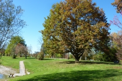Herbst am Fridolfinger See