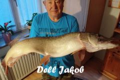 DellJ_01