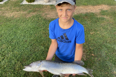 Gallinger Kilian: Hecht, 80 cm, 3.150 g