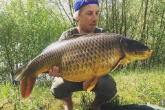 Deubzer Markus | Schuppenkarpfen