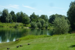 Fischerverein Fridolfing