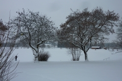 Fischereiverein Fridolfing