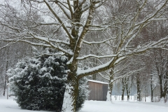 Fischereiverein Fridolfing